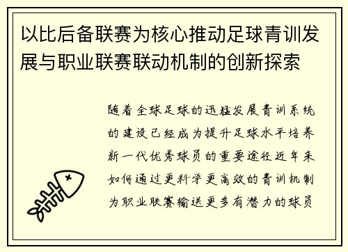 以比后备联赛为核心推动足球青训发展与职业联赛联动机制的创新探索